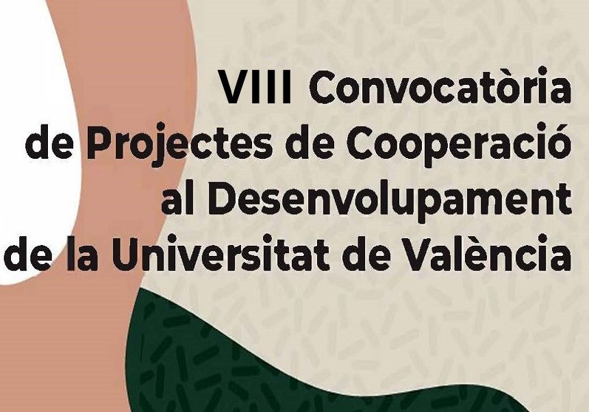 VIII convocatoria proyectos de cooperación